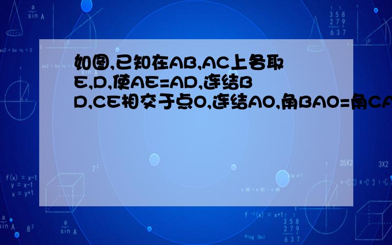 如图,已知在AB,AC上各取E,D,使AE=AD,连结BD,CE相交于点O,连结AO,角BAO=角CAO,求证：角B=角C