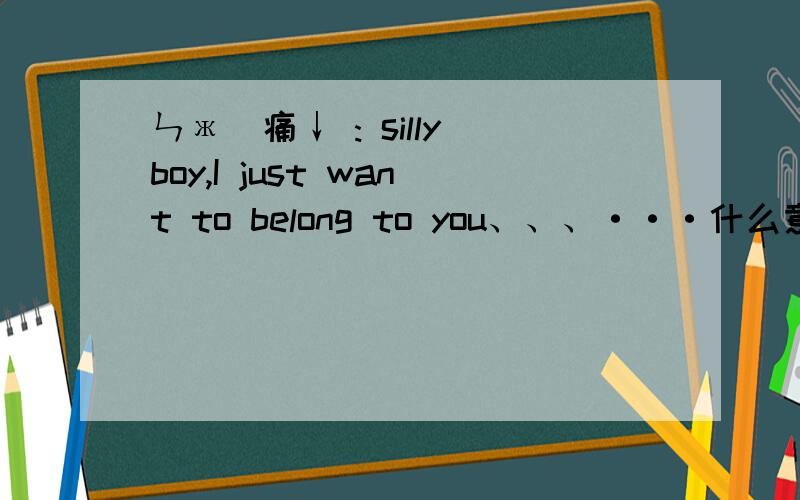 ㄣж鈊痛↓ : silly boy,I just want to belong to you、、、···什么意思 翻译下