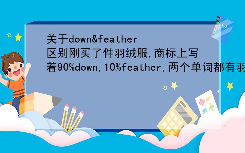 关于down&feather区别刚买了件羽绒服,商标上写着90%down,10%feather,两个单词都有羽绒的意思,有什么区别?