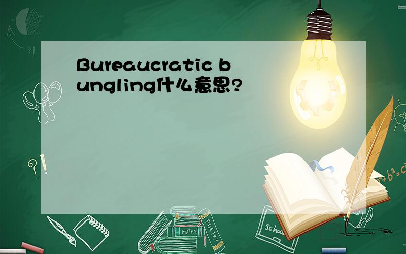 Bureaucratic bungling什么意思?