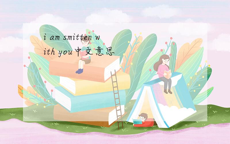 i am smitten with you中文意思