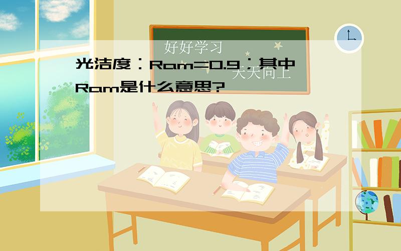 光洁度：Ram=0.9；其中Ram是什么意思?