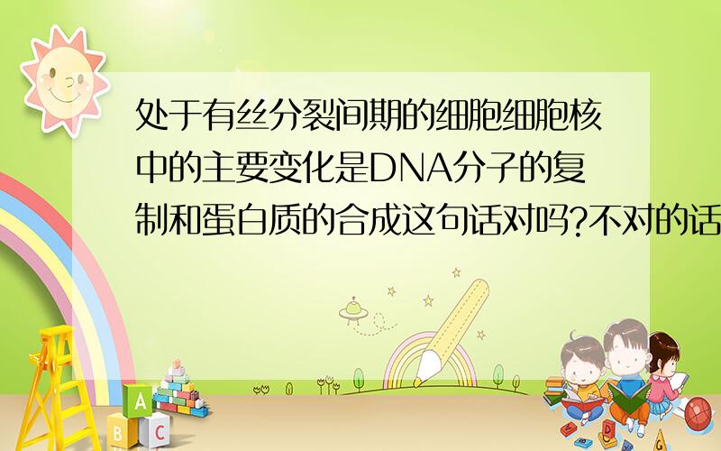 处于有丝分裂间期的细胞细胞核中的主要变化是DNA分子的复制和蛋白质的合成这句话对吗?不对的话请说明理由