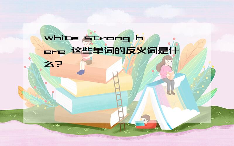white strong here 这些单词的反义词是什么?